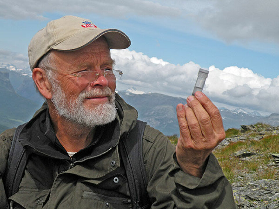 Arne Fjellberg hunts spiders in the mountains of Norway. (Photo: private)