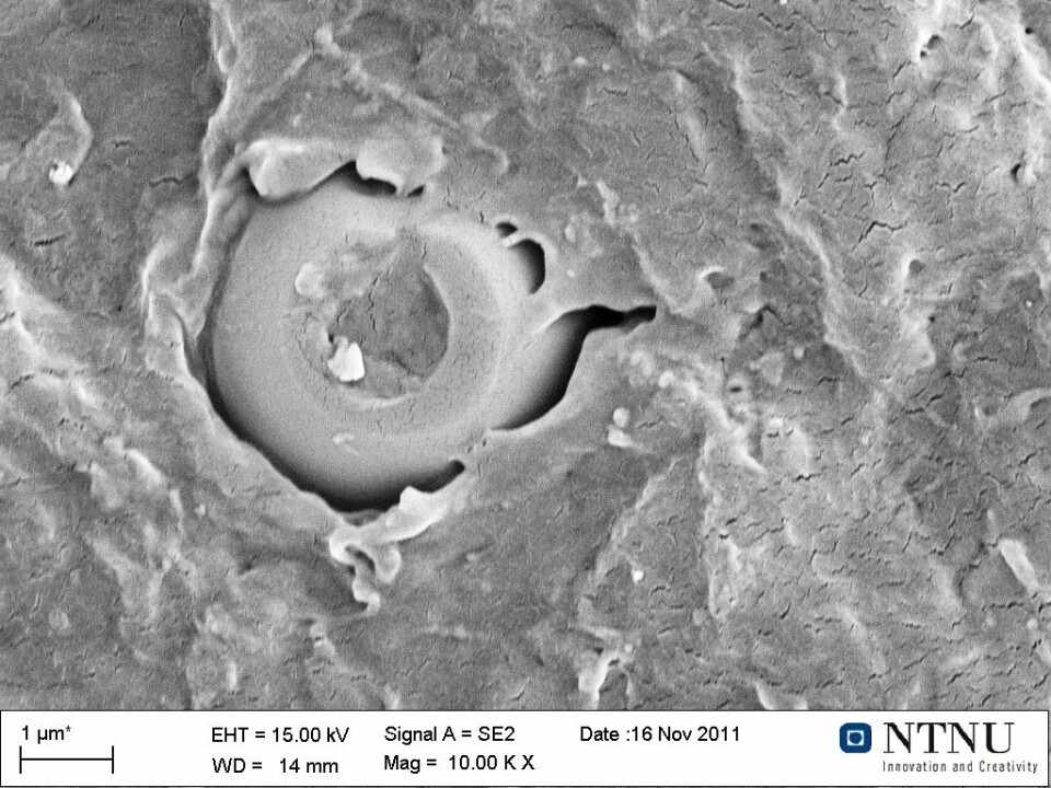 The coating of the capsule is broken down in a controlled manner, releasing the contents. (Photo: NTNU)