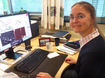 Professor Bodil Holst of the University of Bergen. (Photo: Andreas R. Graven) Professor Bodil Holst of the University of Bergen. (Photo: Andreas R. Graven)