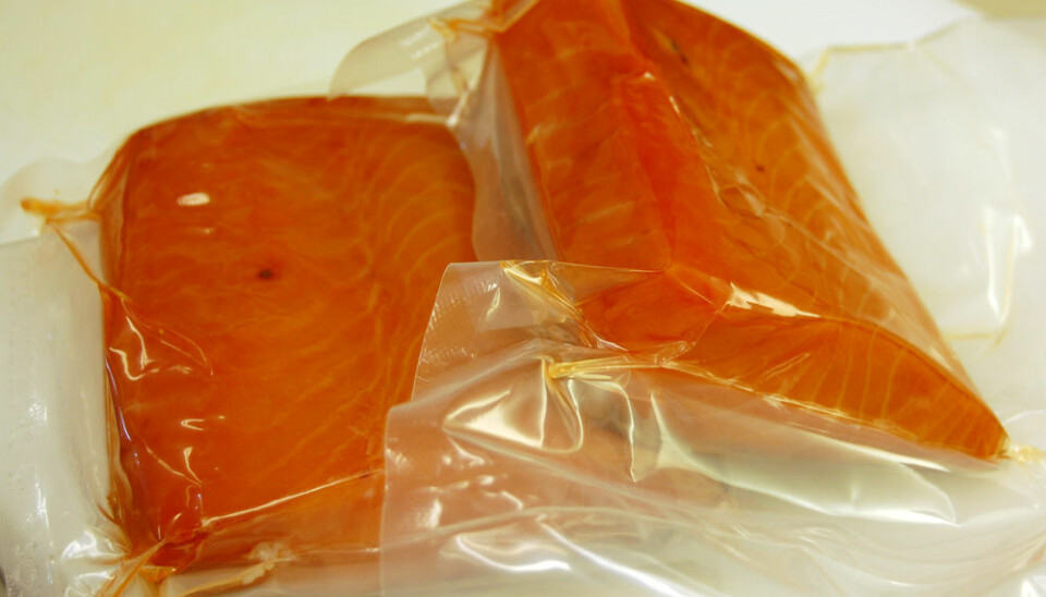 Vacuum-packed salmon at the Nofima laboratory. Organic farmed salmon is pictured on the right. (Photo: Preben Forberg)