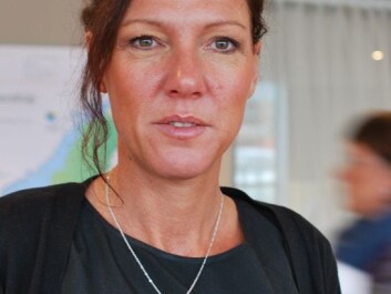 Anne-Grete Skjellanger (Photo: Hanne Jakobsen) Anne-Grete Skjellanger (Photo: Hanne Jakobsen)