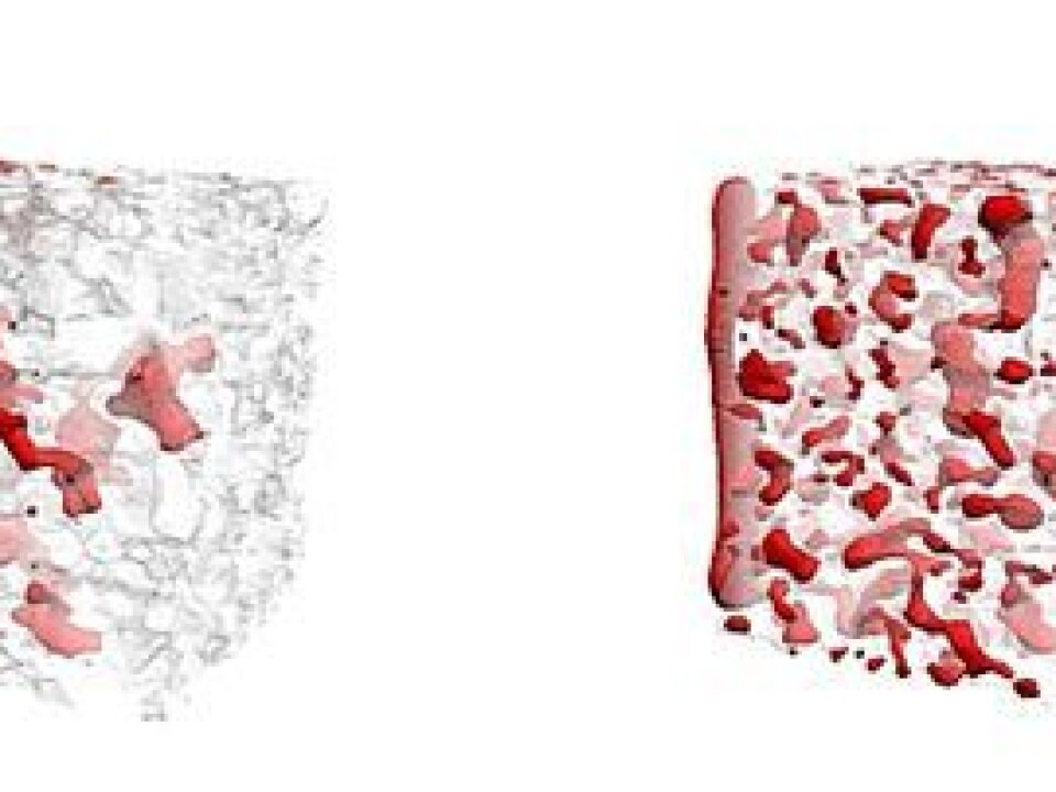 The 3D simulation on the left shows the distribution and movement of CO2 in sandstone capillaries under stationary flow conditions. On the right, non-stationary flow conditions (which occur near an injection well) are simulated. (Illustration: Numerical Rocks AS )