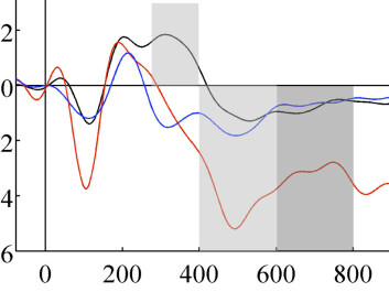 EEG from the frontal lobes of a brain following a ”novelty” sound at the time =0 on the horizontal axis. The black curve shows a normal “novelty” response around 300-400 milliseconds, whereas the blue curve shows the response from a brain with frontal lobe damage. (Figure: Marianne Løvstad/Journal of Cognitive Neuroscience) EEG from the frontal lobes of a brain following a ”novelty” sound at the time =0 on the horizontal axis. The black curve shows a normal “novelty” response around 300-400 milliseconds, whereas the blue curve shows the response from a brain with frontal lobe damage. (Figure: Marianne Løvstad/Journal of Cognitive Neuroscience)