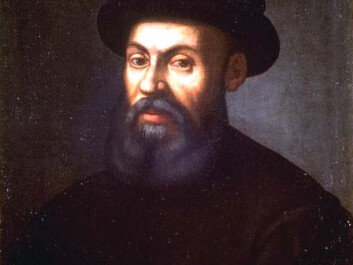 The seafarer Ferdinand Magellan, whose ship circumnavigated the globe, and the Norway spruce that stayed put in the Trillemarka Nature Reserve have one thing in common − their date of birth. Magellan’s remains in the Philippines have turned to soil but the tree is still growing. (Photo: Wikimedia Creative Commons) The seafarer Ferdinand Magellan, whose ship circumnavigated the globe, and the Norway spruce that stayed put in the Trillemarka Nature Reserve have one thing in common − their date of birth. Magellan’s remains in the Philippines have turned to soil but the tree is still growing. (Photo: Wikimedia Creative Commons)