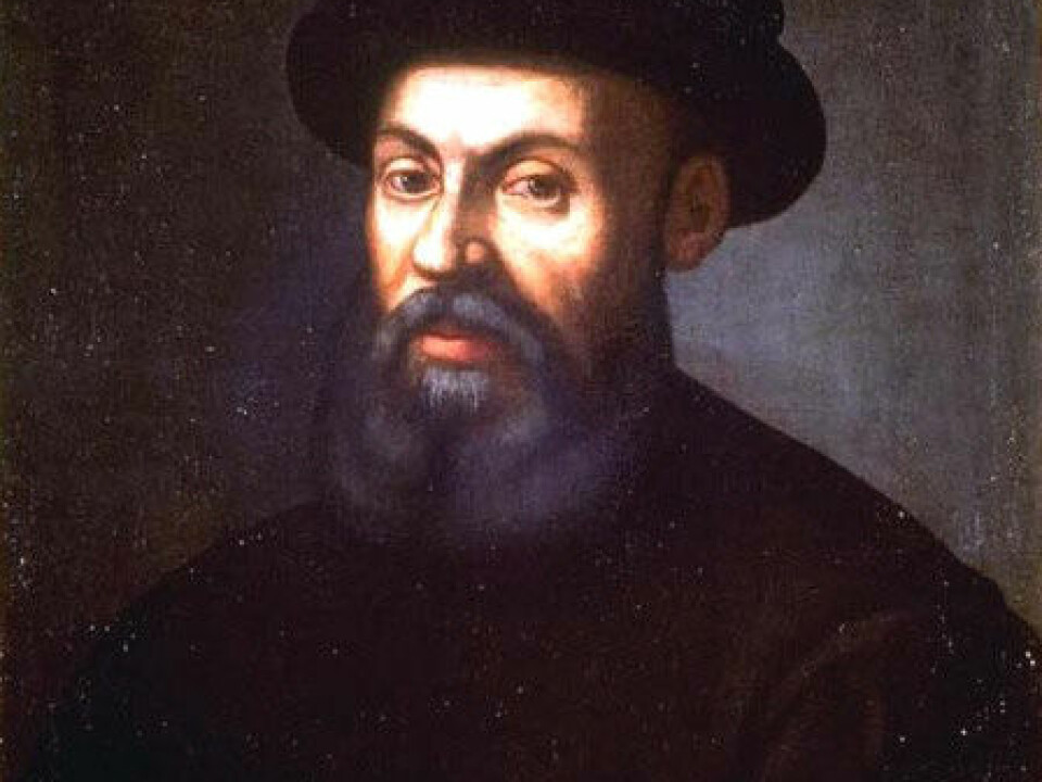 The seafarer Ferdinand Magellan, whose ship circumnavigated the globe, and the Norway spruce that stayed put in the Trillemarka Nature Reserve have one thing in common − their date of birth. Magellan’s remains in the Philippines have turned to soil but the tree is still growing.  (Photo: Wikimedia Creative Commons)