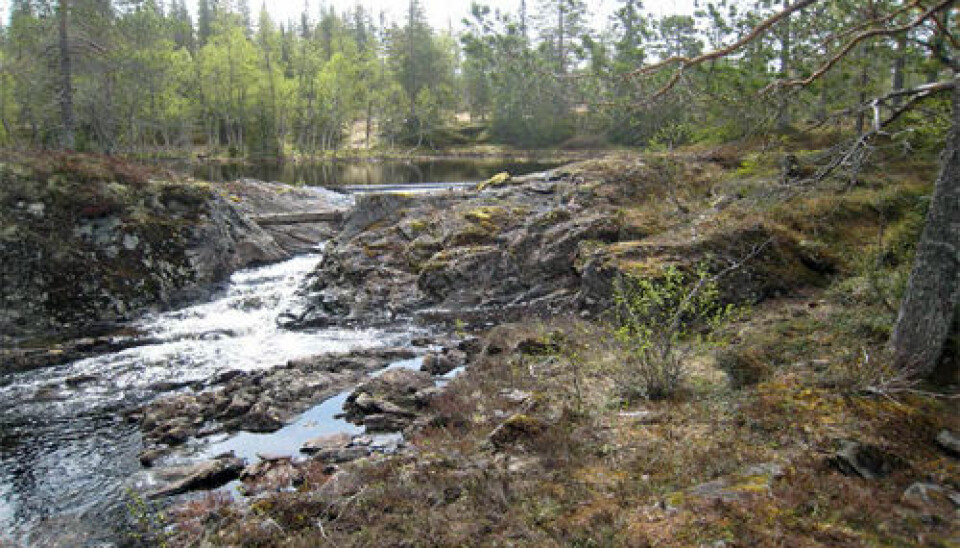This is where the intake of a water channel leading up to the smelter might have been. (Photo: Lars F. Stenvik)