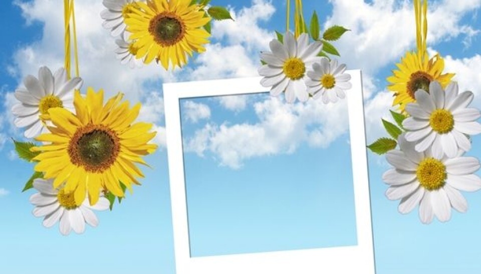 (Illustration: Colourbox)