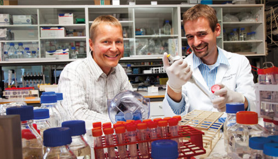 'We hope our new knowledge will make it easier to find a substance that can prevent cancer spreading,' says Professor Pål Falnes (left) and the principal person behind the study, former postdoc, Stefan Kernstock. (Photo: Yngve Vogt)