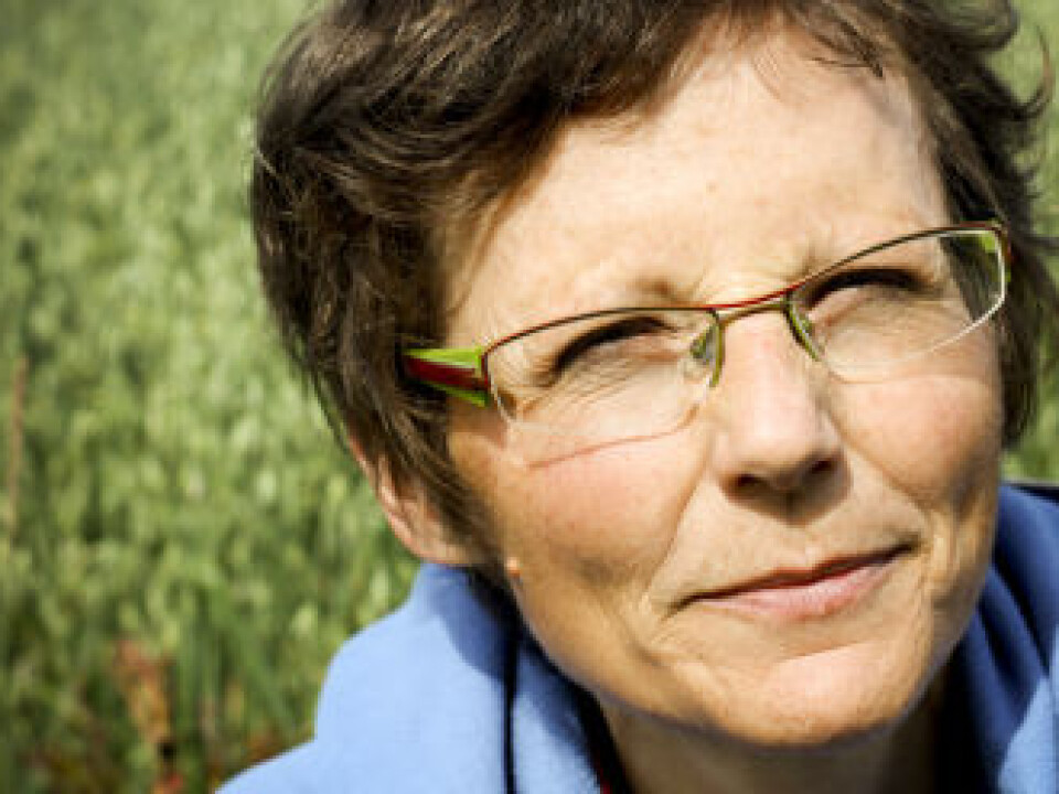 “Farming is inextricably tied to the land,” says researcher Gro Follo. (Photo: Ragnhild Fjellro)