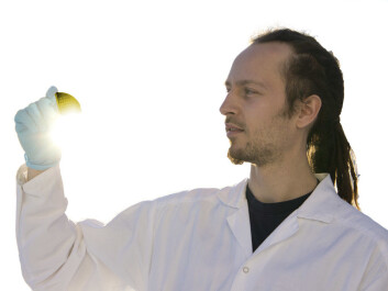Trygve Mongstad. (Photo: Arnfinn Christensen) Trygve Mongstad. (Photo: Arnfinn Christensen)