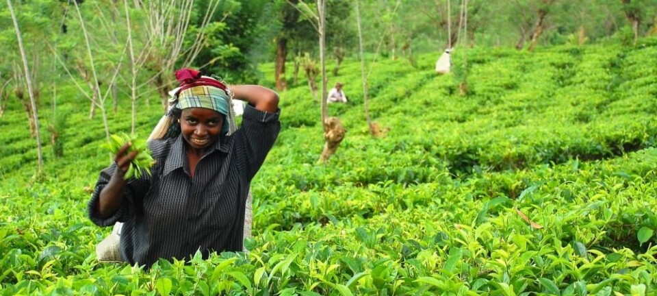 New invention helps reduce pesticide suicides