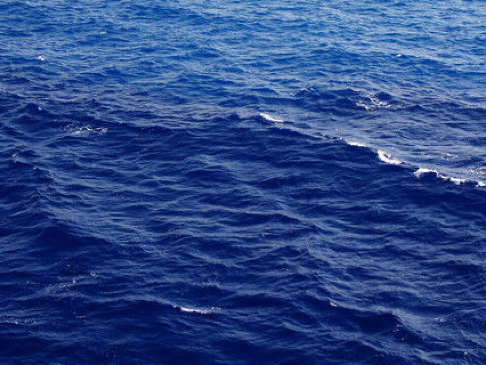 Increased precipitation as a result of climate change means that more murky fresh water mixes with the coastal water, making it less saline and murkier. (Photo: Colourbox)