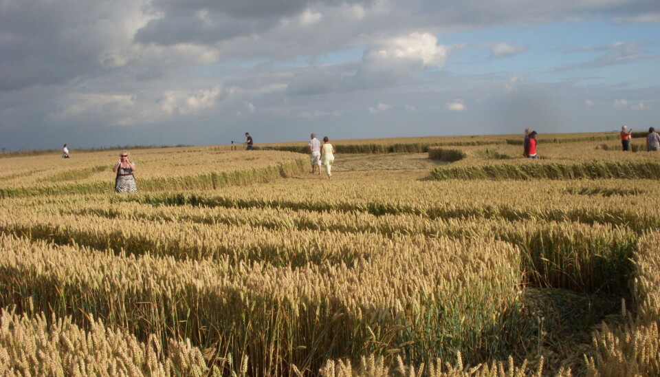 In new-religious tourism, the distinction between the pilgrim and the tourist is highly fluid (Photo: Siri Kalvig)
