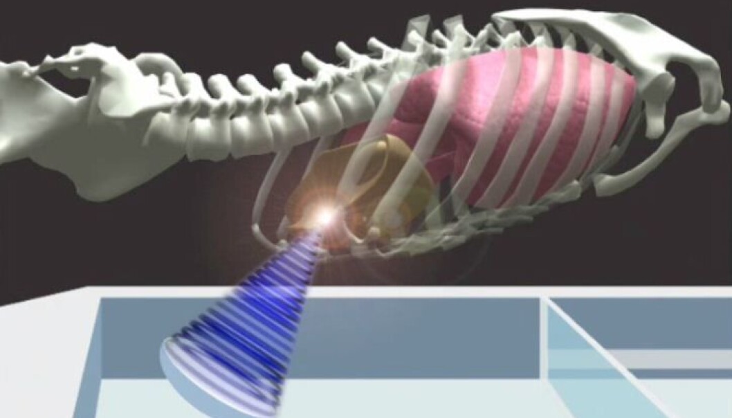 What the SINTEF scientists want to do is to visualize and track the movements of soft tissue by means of 4D, i.e. three-dimensional images in real time. (Illustation: SINTEF). What the SINTEF scientists want to do is to visualize and track the movements of soft tissue by means of 4D, i.e. three-dimensional images in real time. (Illustation: SINTEF).