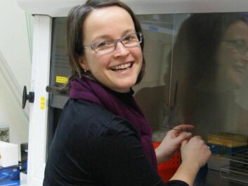 Mari Moren works with tiny fish embryos. (Photo: NIFES)