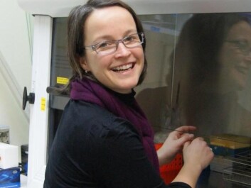 Mari Moren works with tiny fish embryos. (Photo: NIFES) Mari Moren works with tiny fish embryos. (Photo: NIFES)
