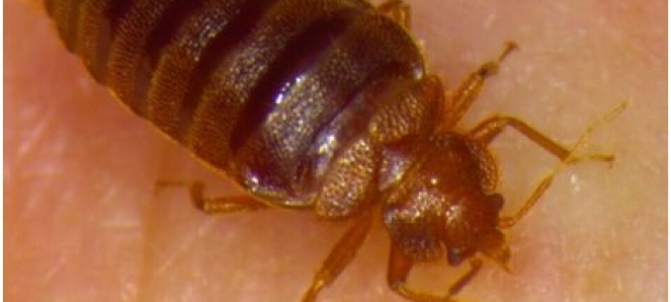 A sex life with rape and pepper spray