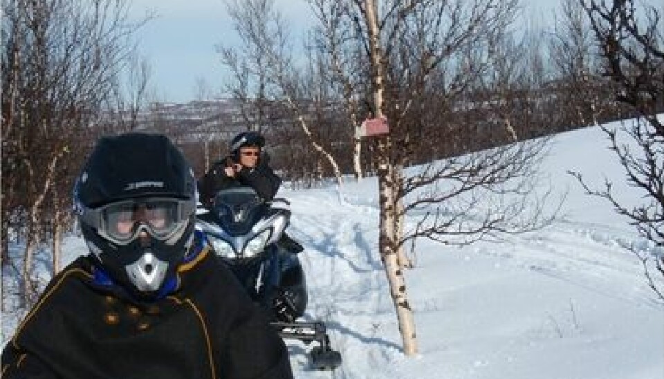 Research Fellow Grete Mehus (at rear) says most young snowmobilers are serious about safety. For example, 81 percent always use a helmet. (Private photo)