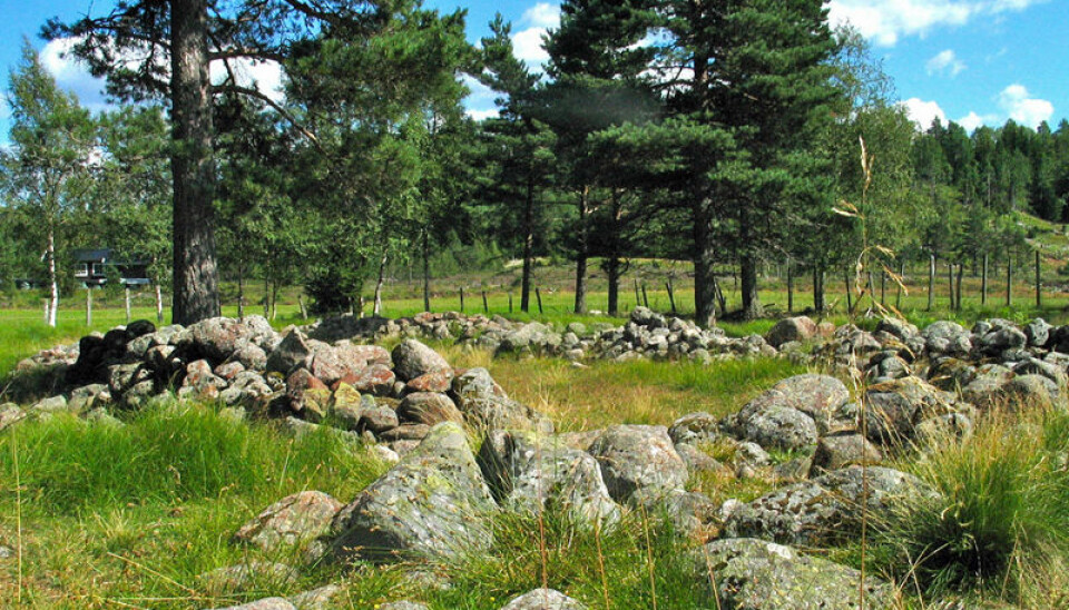 Remnants of the Iron Age Sosteli farm in Vest-Agder County, Norway's southernmost. Hemp was cultivated here even before the Viking Age. (Photo: Morten Teinum/Visit Sørlandet)