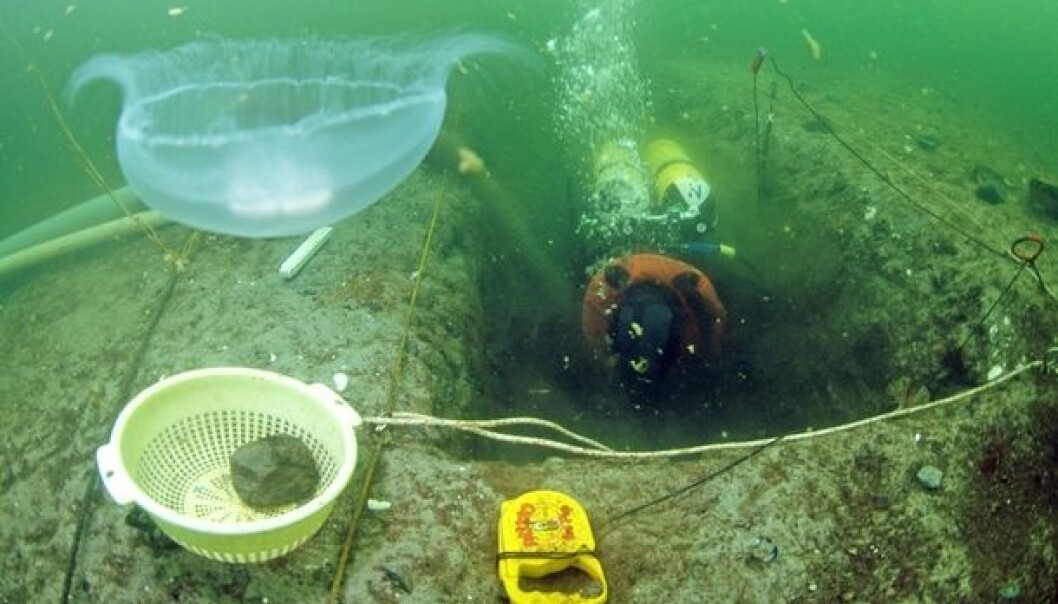 Ceramic cooking pots can reveal what people were eating in the Stone Age. Settlements that are now on ocean beds have provided key evidence. Seen here is the Neustad site on the German Baltic coast. A new study includes ceramics from this spot. (Photo: Sönke Hartz) Ceramic cooking pots can reveal what people were eating in the Stone Age. Settlements that are now on ocean beds have provided key evidence. Seen here is the Neustad site on the German Baltic coast. A new study includes ceramics from this spot. (Photo: Sönke Hartz)