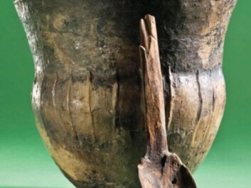 A 6,000-year-old ceramic cooking vessel and a wooden spoon found at Åmose on Zealand in Denmark. The pot was probably placed in a bog as an offering to the gods. (Photo: Anders Fischer) A 6,000-year-old ceramic cooking vessel and a wooden spoon found at Åmose on Zealand in Denmark. The pot was probably placed in a bog as an offering to the gods. (Photo: Anders Fischer)