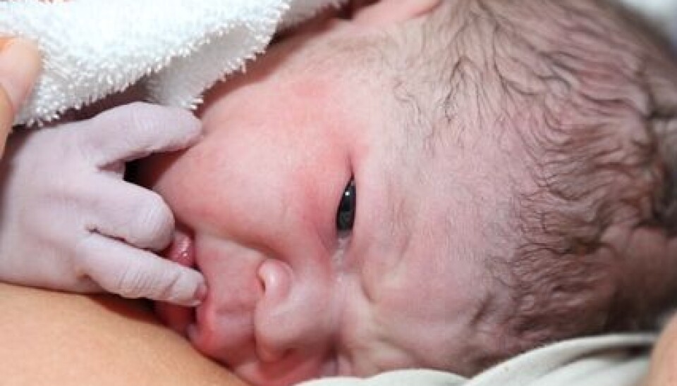 Birth weight explains the brains volume and the cerebral cortex`s extent later in life. (Photo illustration: Colourbox)