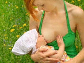 Breastfeeding is the norm in the Nordic countries (Illustration: Colourbox) Breastfeeding is the norm in the Nordic countries (Illustration: Colourbox)
