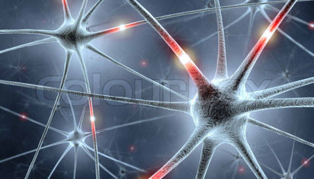 Our brains contain more than 100,000 billion synapses. (Illustration photo: Colourbox) Our brains contain more than 100,000 billion synapses. (Illustration photo: Colourbox)
