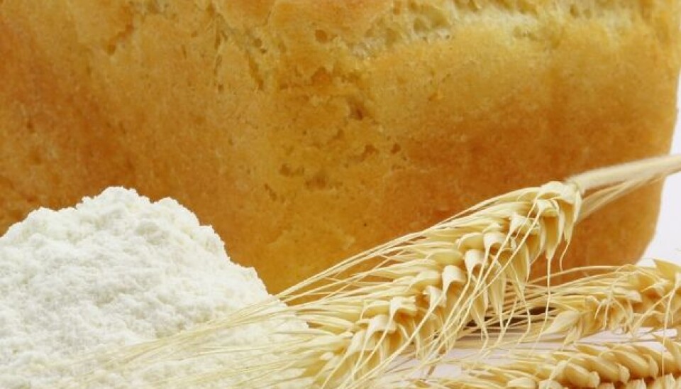 Healthy new whole grain products requires closer collaboration between research centres, grain producers, millers, bakers and consumers. (Photo: Colourbox)