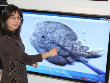 Celia Agusti-Ridaura explains how to extract molecules from salmon lice and use of the vaccine. (Photo: Mari M. Press) Celia Agusti-Ridaura explains how to extract molecules from salmon lice and use of the vaccine. (Photo: Mari M. Press)