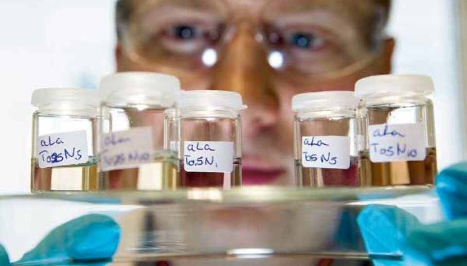 Researcher Wilhem Glomm makes tiny clusters with nanogold in different proteins. The colours of the different concoctions give him information about the number of particles in the mixture and the size of the nanogold. (Photo: Ole Morten Melgård)