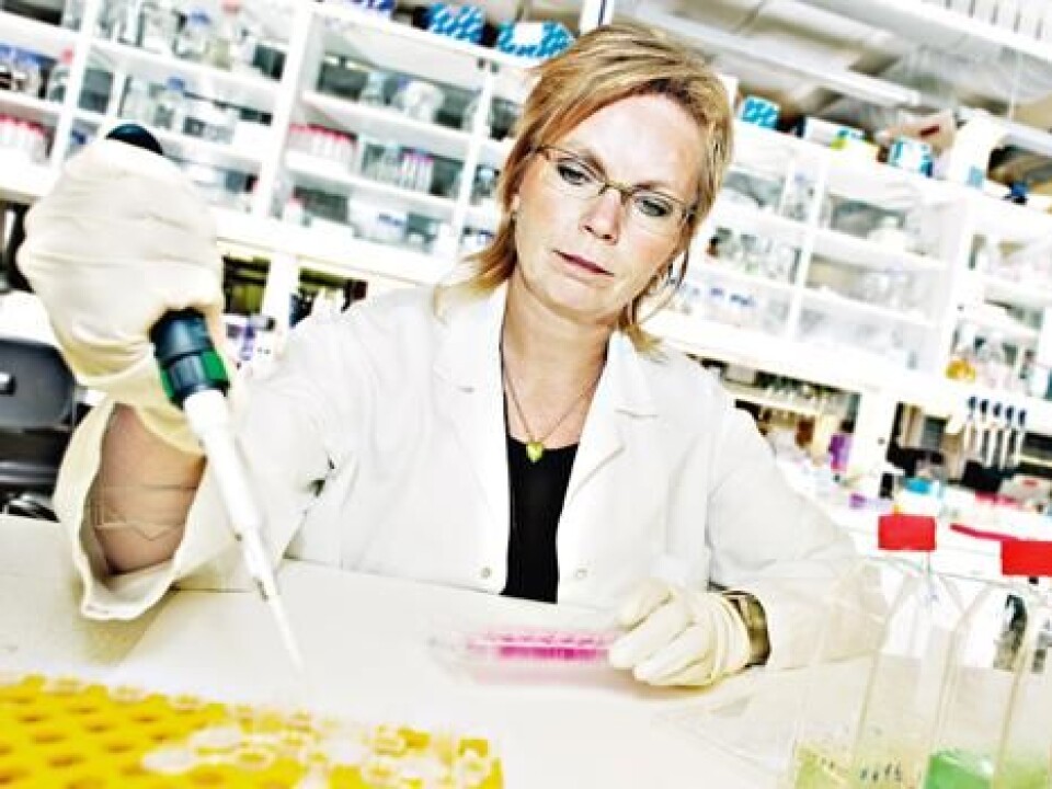Professor Berit Johansen (Photo: Geir Mogen/NTNU Info)