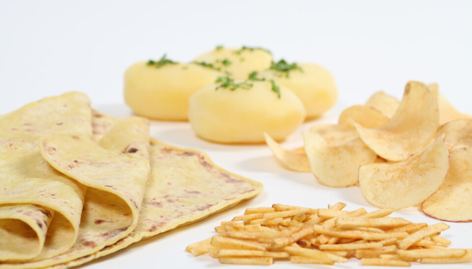 The method and length of cooking potatoes affects both griddle cake dough and other uses for potatoes. The aim is to find the best cooking method for different variations of dry matter and starch content, for example. (Photo: Kjell J. Merok)