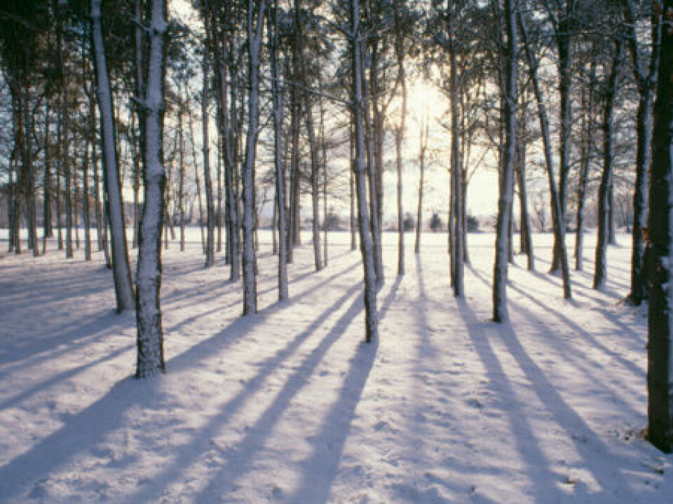 The sun is only a few degrees above the horizon in Scandinavia for about a third of the time over the year as a whole. (Illustration photo: Photos)