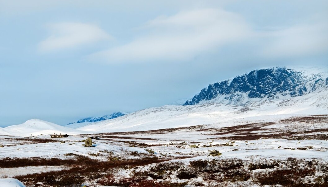 Is a mountain plateau like Norway’s Hardangervidda ancient seabed that has been uplifted, or has it been scraped smooth by glaciers? A new study suggests the latter. (Photo: Colourbox) Is a mountain plateau like Norway’s Hardangervidda ancient seabed that has been uplifted, or has it been scraped smooth by glaciers? A new study suggests the latter. (Photo: Colourbox)