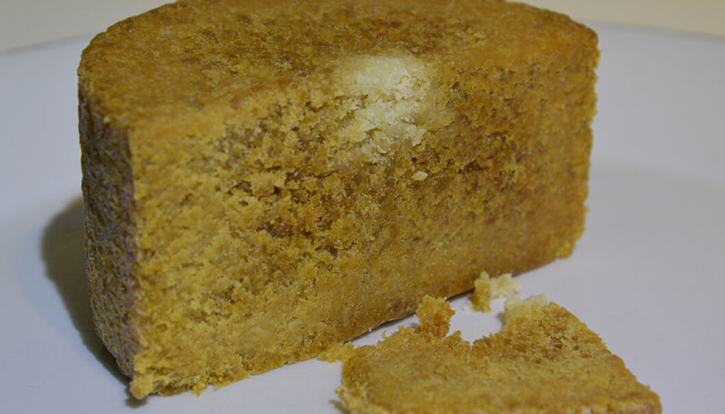 Gamalosten is described it as a "pungent traditional Norwegian cheese". (Photo: Wikipedia commons/Quick fix) Gamalosten is described it as a "pungent traditional Norwegian cheese". (Photo: Wikipedia commons/Quick fix)