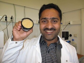 Tahir Mahmood Qureshi discovered that traditional Norwegian cheese Gamalost is actually good for your heart. (Photo: Mette Risbråthe) Tahir Mahmood Qureshi discovered that traditional Norwegian cheese Gamalost is actually good for your heart. (Photo: Mette Risbråthe)