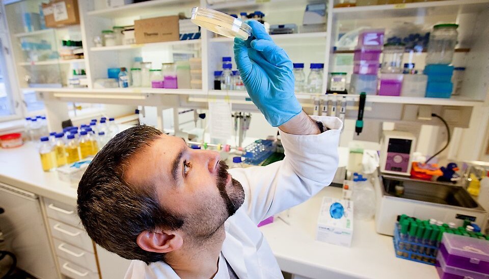 It is the latter type of phages Hans Petter Kleppen studied during his PhD-research at the Norwegian University of Life Sciences. (Photo: Håkon Sparre)