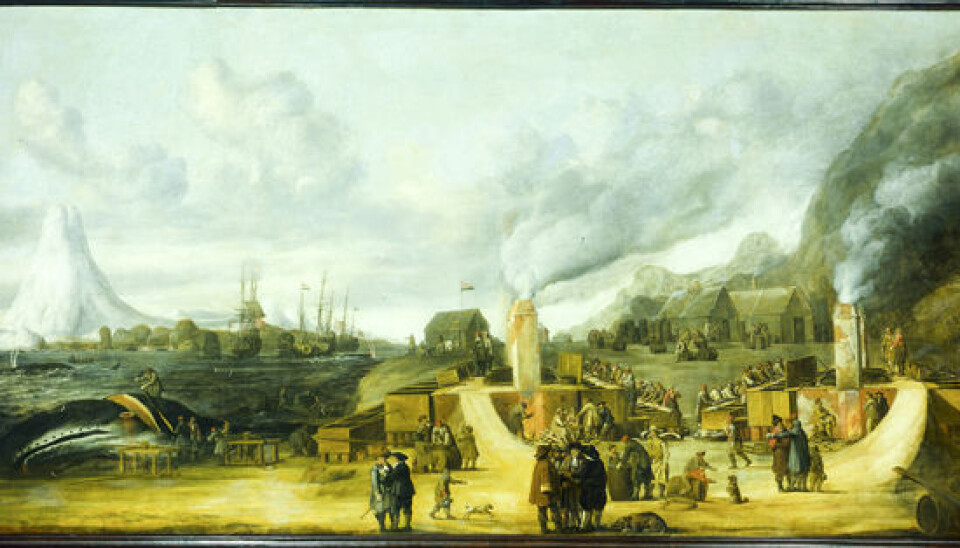In the 1800s, Nansen, among others, claimed that Smeerenburg had been a major city in the 1600s, with shops, churches, brothels and thousands of visitors during the summer. Archaeological excavations have debunked this myth, and it is estimated that at most there were a few hundred people living there. Here is a contemporary account of a whaling station on Svalbard from 1639, painted by Cornelis de Man, on display in the Dutch State Museum in Amsterdam.