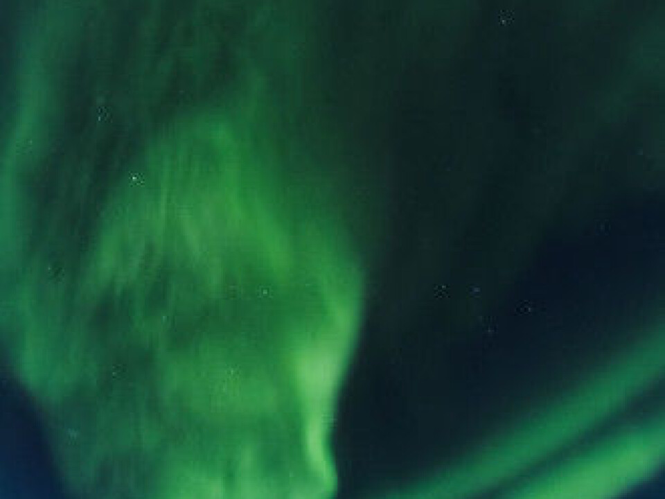 This winter there is a good chance of experiencing amazing northern lights. (Photo: Colourbox)