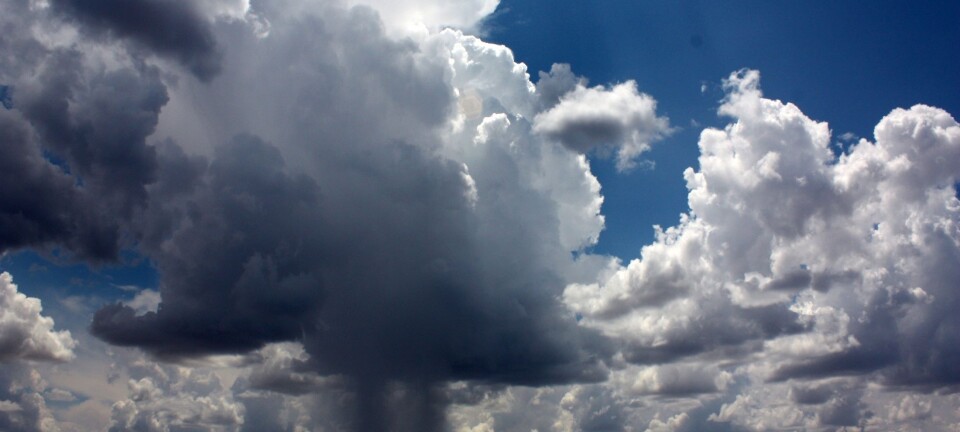 Storm clouds are full of live bacteria