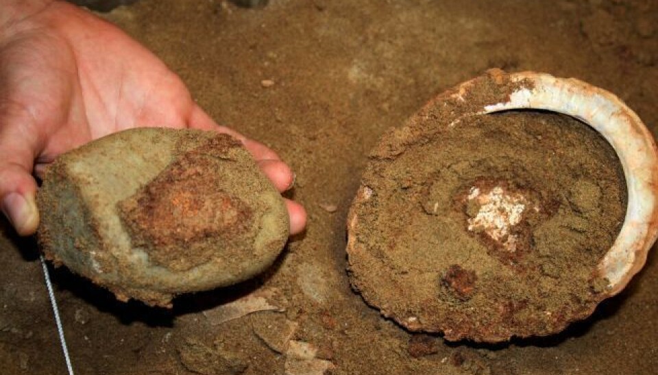 The abalone after removal of cobble with ochre. (Photo: Grethe Moell Pedersen/TRACSYMBOLS)