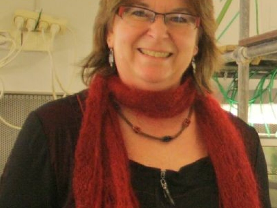 Professor Gunilla Rosenqvist. (Photo: Ida Korneliussen)