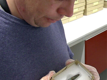 Archaeologists like Martin Callanan get a lot of help from mountain hikers who donate Stone Age artefacts they find. (Photo: Per Byhring) Archaeologists like Martin Callanan get a lot of help from mountain hikers who donate Stone Age artefacts they find. (Photo: Per Byhring)