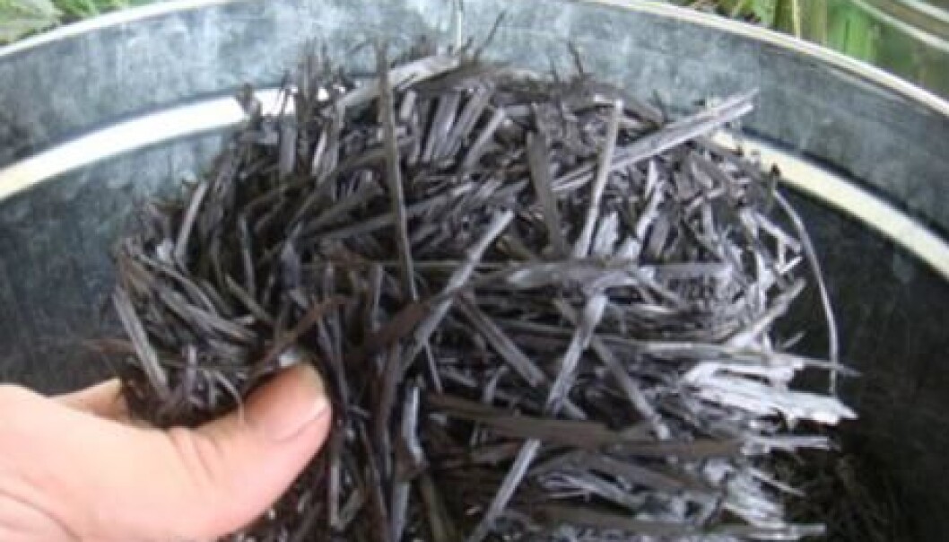 Biochar is charcoal used for a specific purpose, such as a soil amendment. (Photo: Bioforsk) Biochar is charcoal used for a specific purpose, such as a soil amendment. (Photo: Bioforsk)