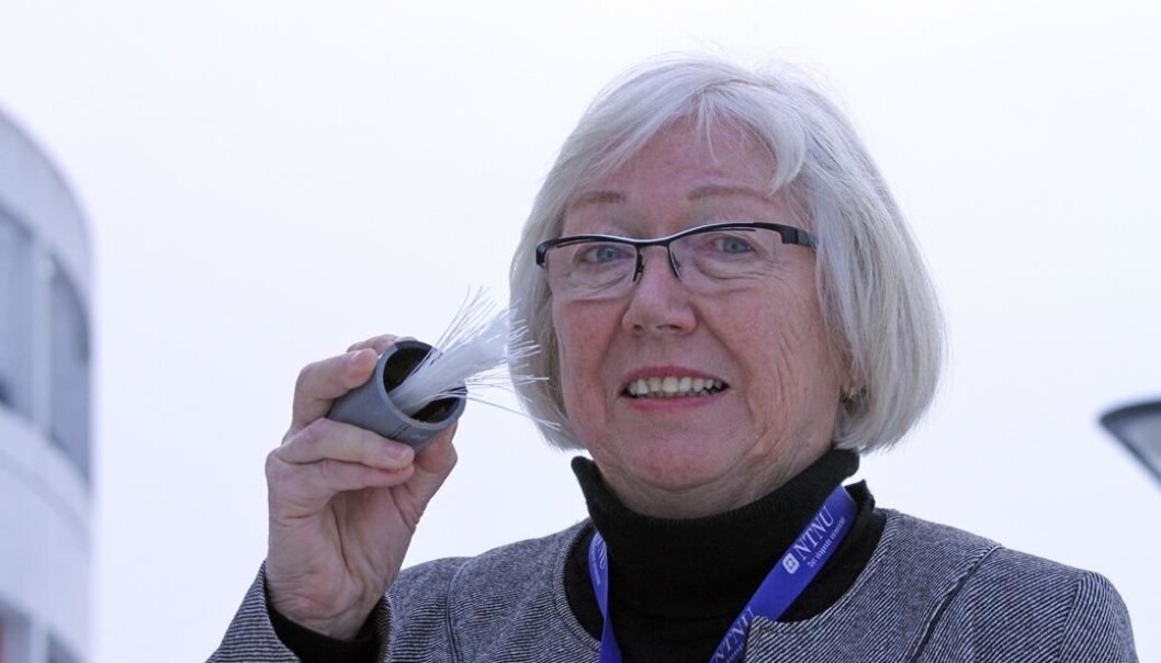 Professor May-Britt Hägg displays special fibres that are coated with a membrane that enables them to capture the CO2 in waste gas. (Photo: Unni Eikeseth/NRK) Professor May-Britt Hägg displays special fibres that are coated with a membrane that enables them to capture the CO2 in waste gas. (Photo: Unni Eikeseth/NRK)