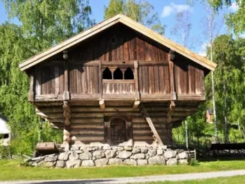 The Stave storehouse today, on exhibit at Hallingdal Museum in Nesbyen. (Photo: Hallingdal Museum)