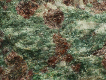 The translucent red garnets and green omphacite make a striking combination in eclogite. (Photo: Andreas R. Graven) The translucent red garnets and green omphacite make a striking combination in eclogite. (Photo: Andreas R. Graven)