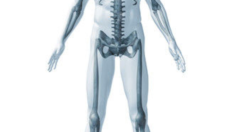 The human skeleton has the capacity to renew itself completely in the course of about ten years. (Illustration: Colourbox)