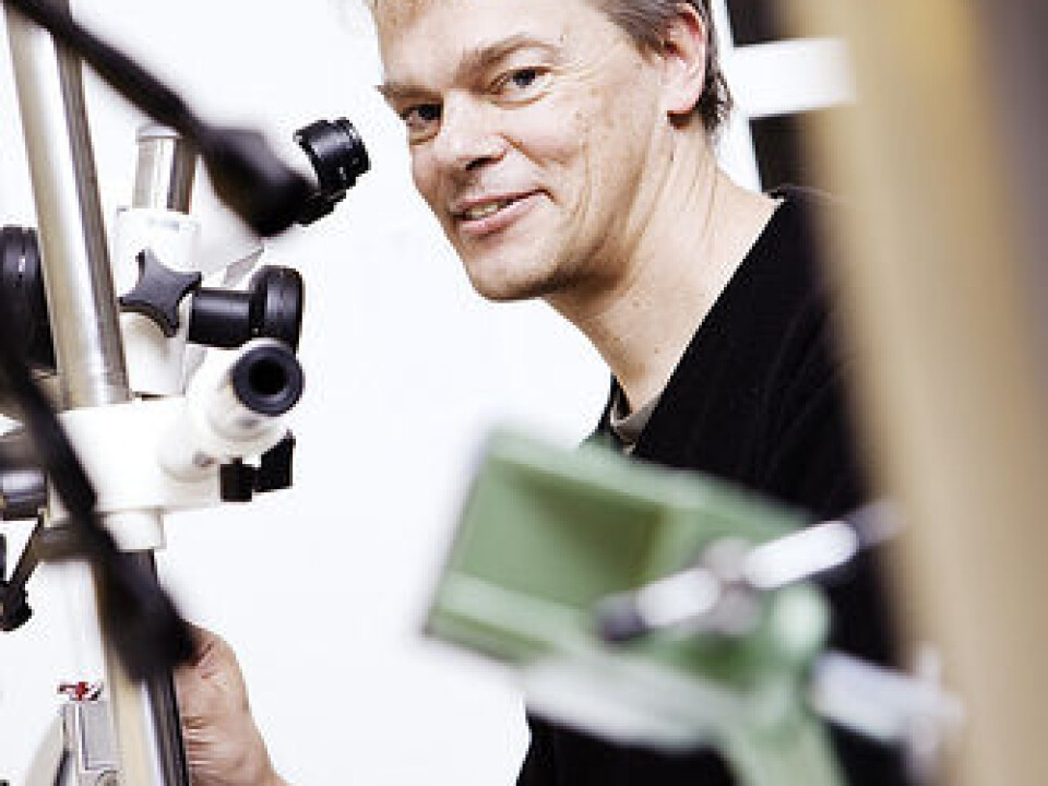 Edvard Moser. (Photo: Geir Mogen, NTNU)